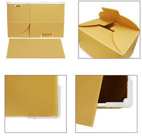 Folding / Collapsible PP Plastic Corrugated Boxes For Moving / Packing / Storage